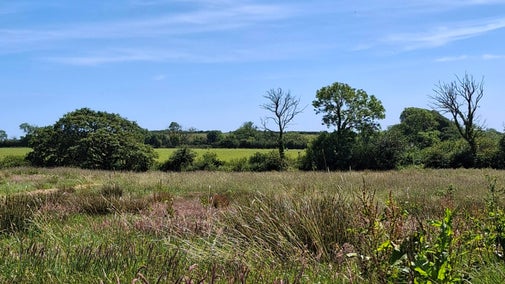 Colby Estate Mount and Barns Field Walk (purple Trail)